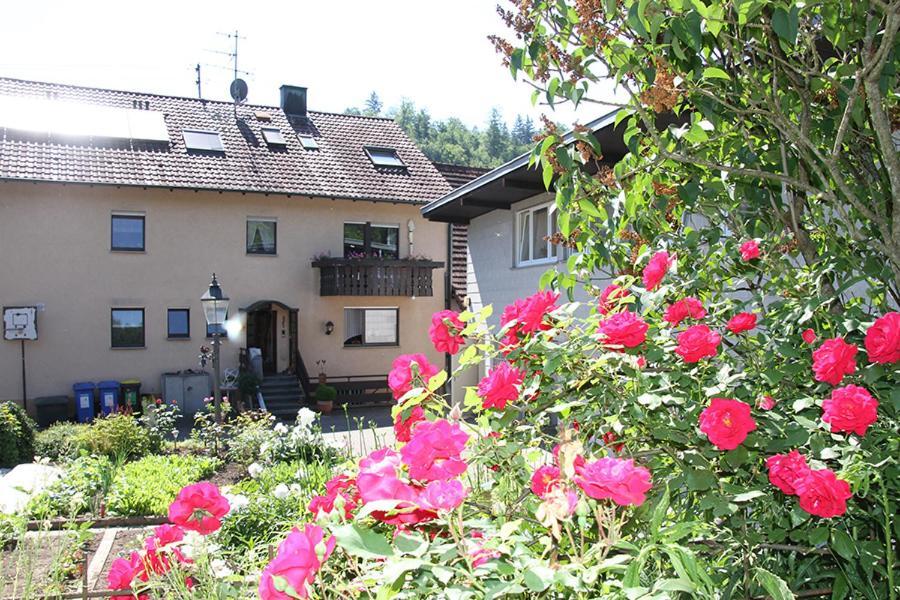 Apartment Baden Baden Haus Am Ibachweg 外观 照片